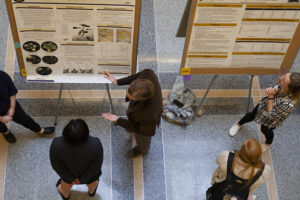 Students explain projects at Undergraduate Research Forum