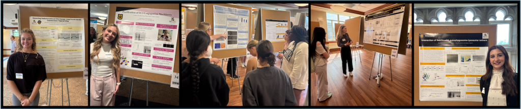 A collage of five pictures showing students presenting their research during a poster session