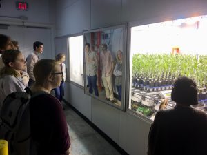 BIPS students visiting plant CV