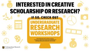 Undergraduate Research Workshops